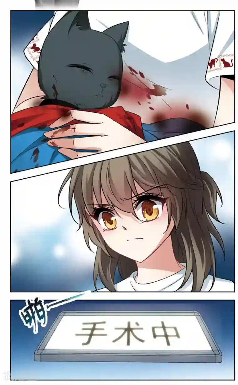 玄羽恋歌第4话 黑猫4