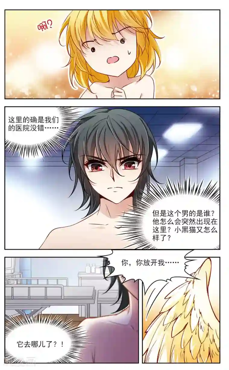 玄羽恋歌第5话 黑猫5