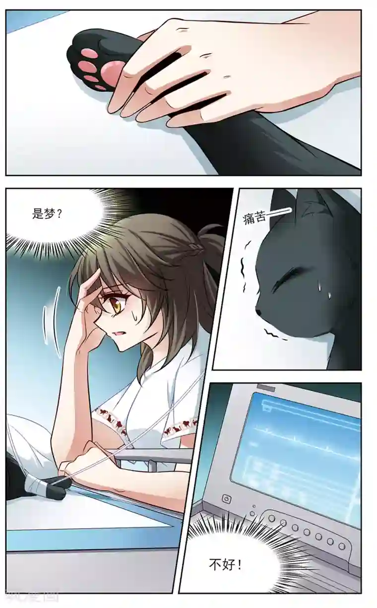 玄羽恋歌第5话 黑猫5