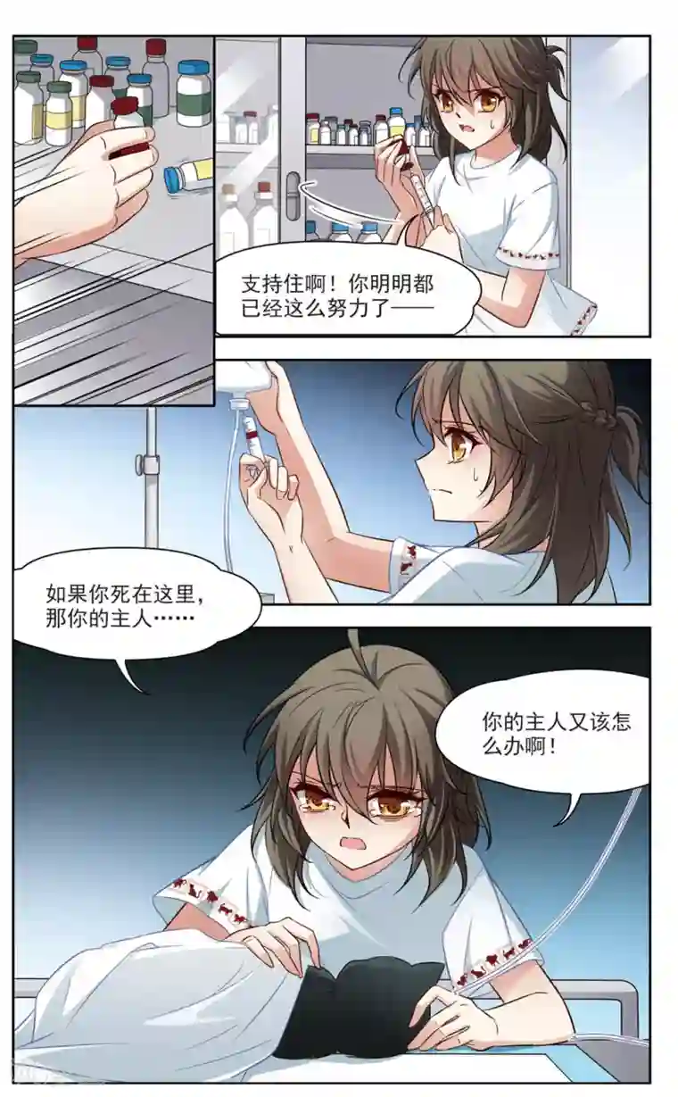 玄羽恋歌第5话 黑猫5