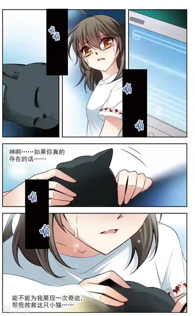 玄羽恋歌第5话 黑猫5