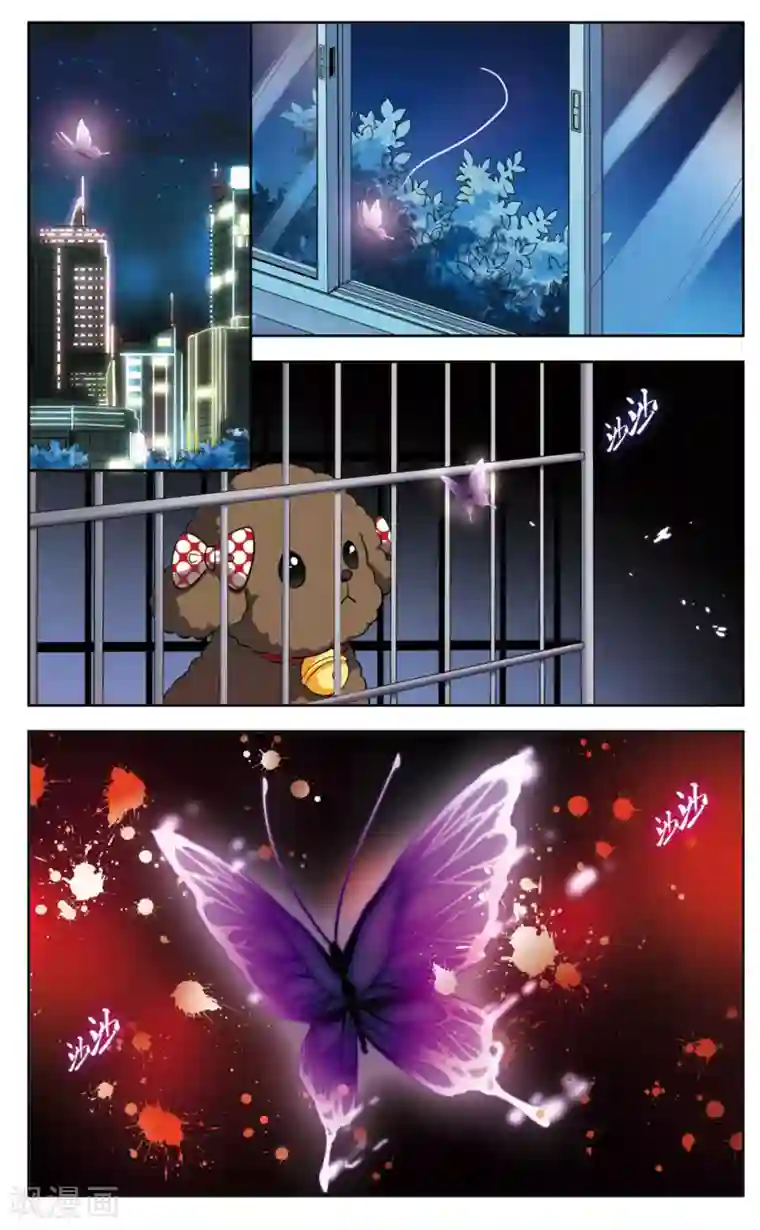 玄羽恋歌第6话 救命！我变成鹦鹉了？！1