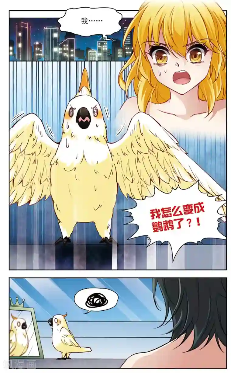 玄羽恋歌第6话 救命！我变成鹦鹉了？！1