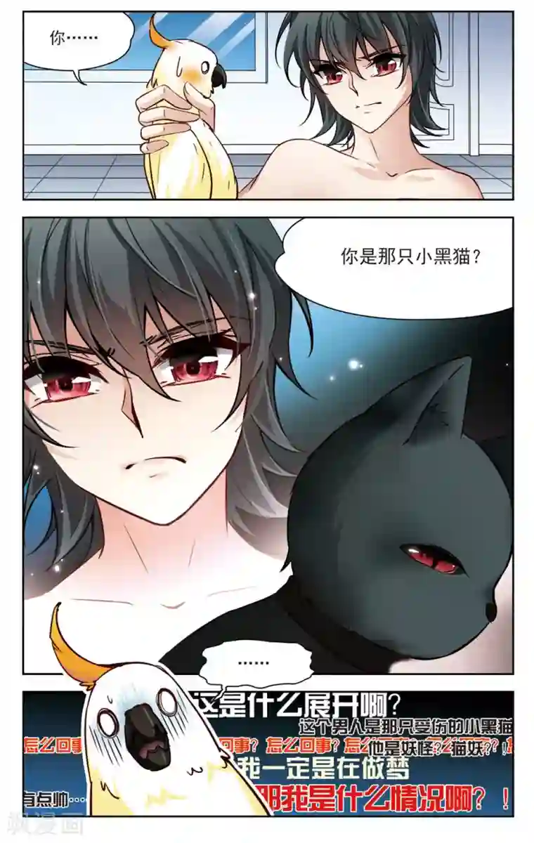 玄羽恋歌第6话 救命！我变成鹦鹉了？！1