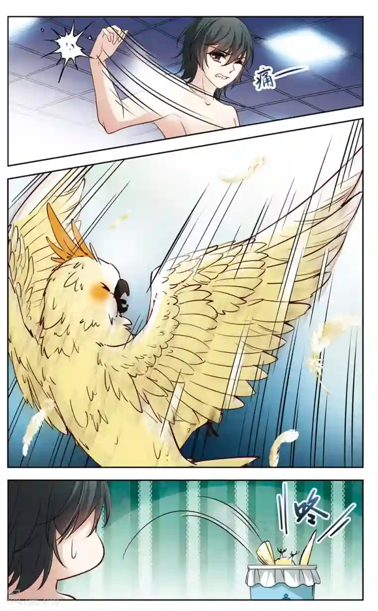 玄羽恋歌第6话 救命！我变成鹦鹉了？！1