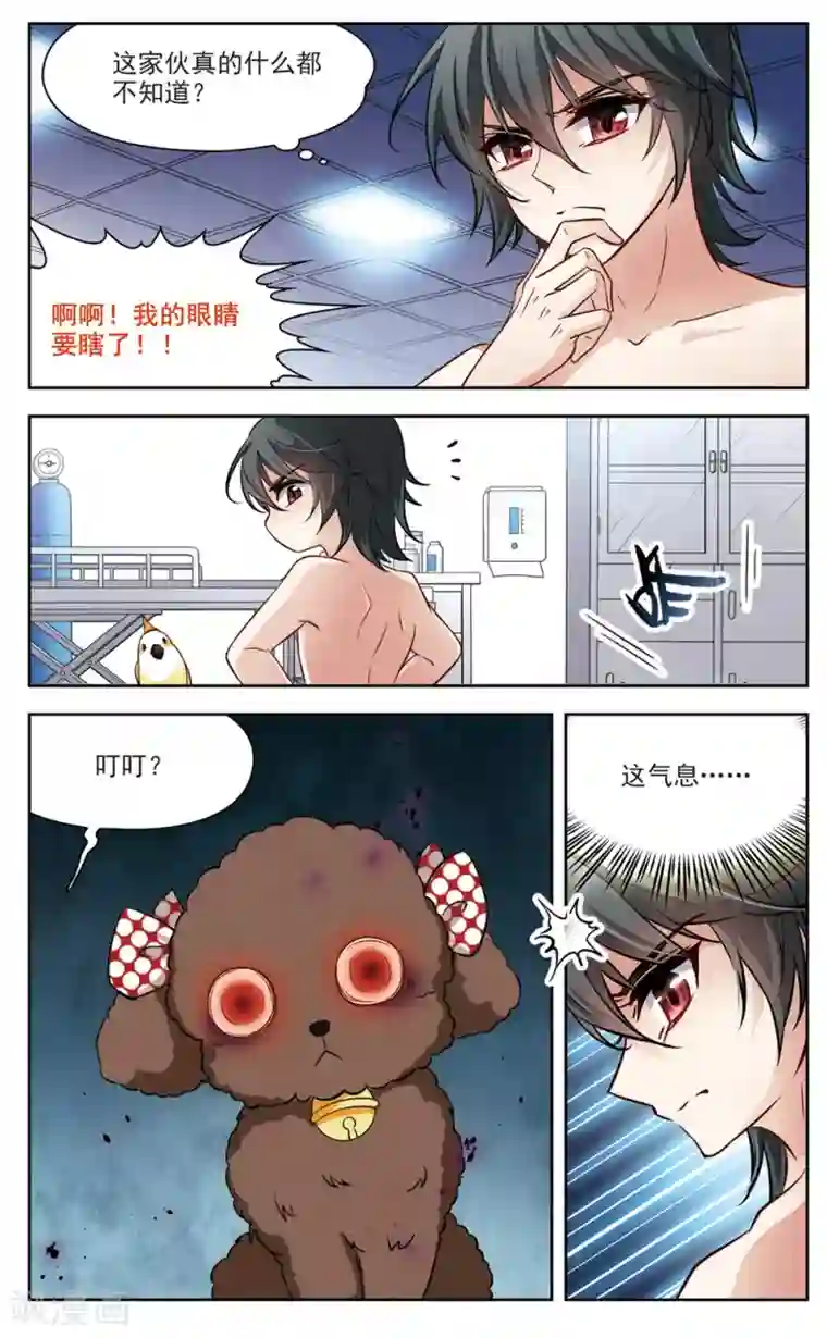 玄羽恋歌第7话 救命！我变成鹦鹉了？！2