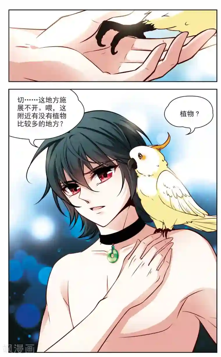 玄羽恋歌第8话 救命！我变成鹦鹉了？！3