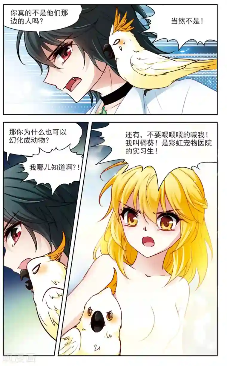 玄羽恋歌第8话 救命！我变成鹦鹉了？！3