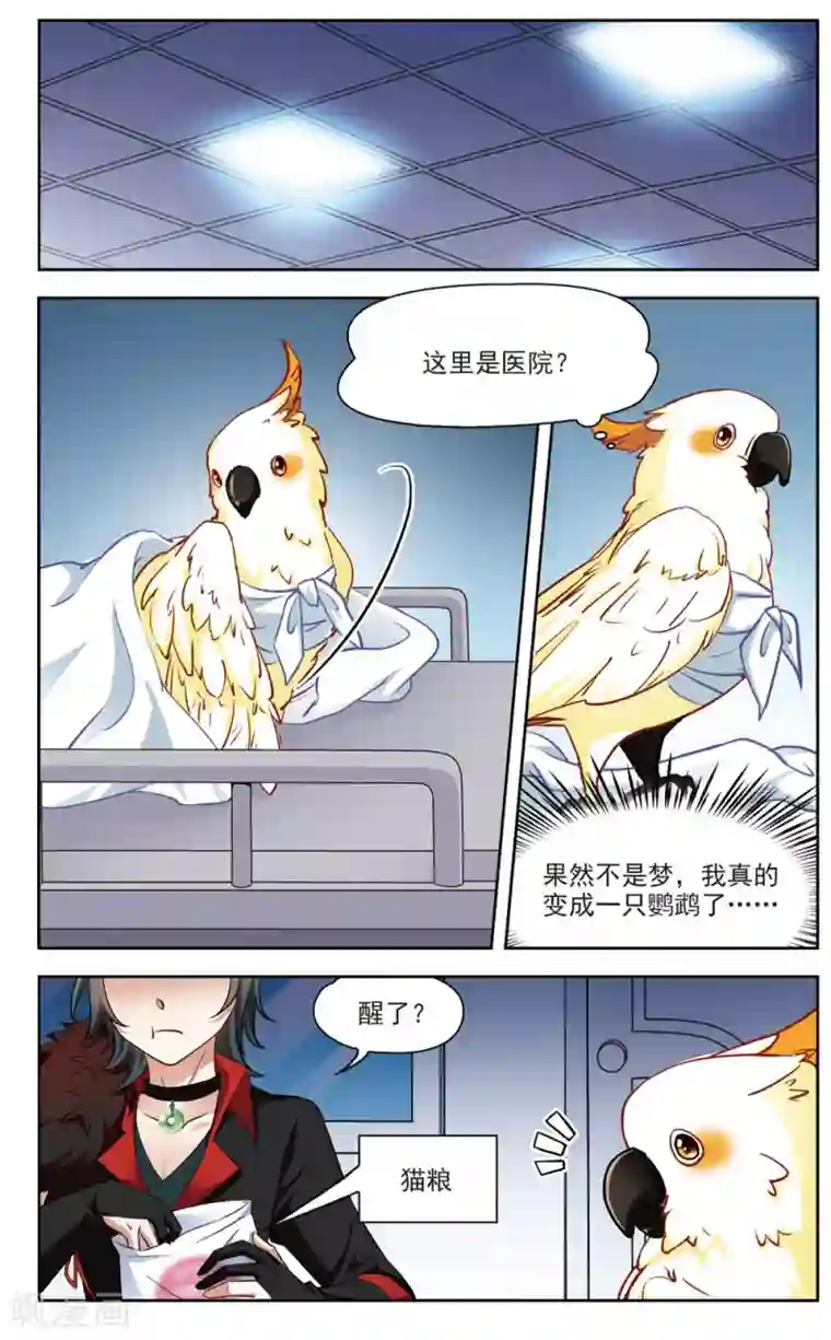 玄羽恋歌第11话 深夜惊变3