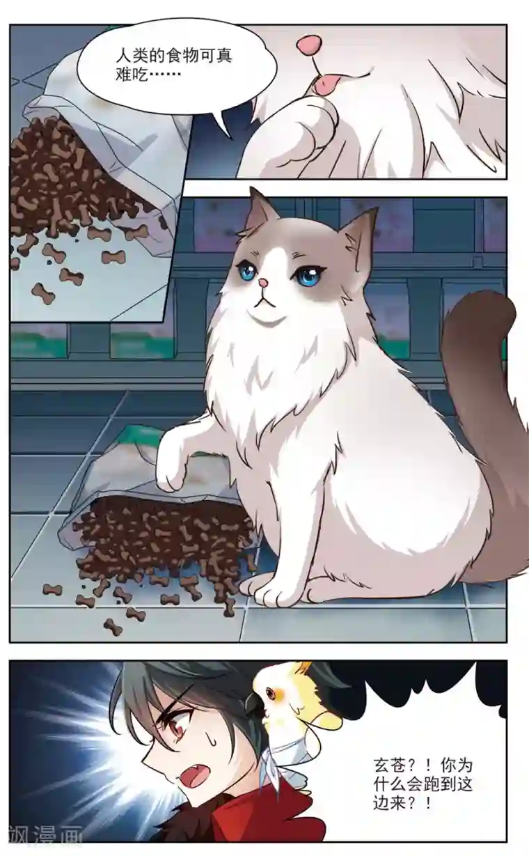 玄羽恋歌第11话 深夜惊变3