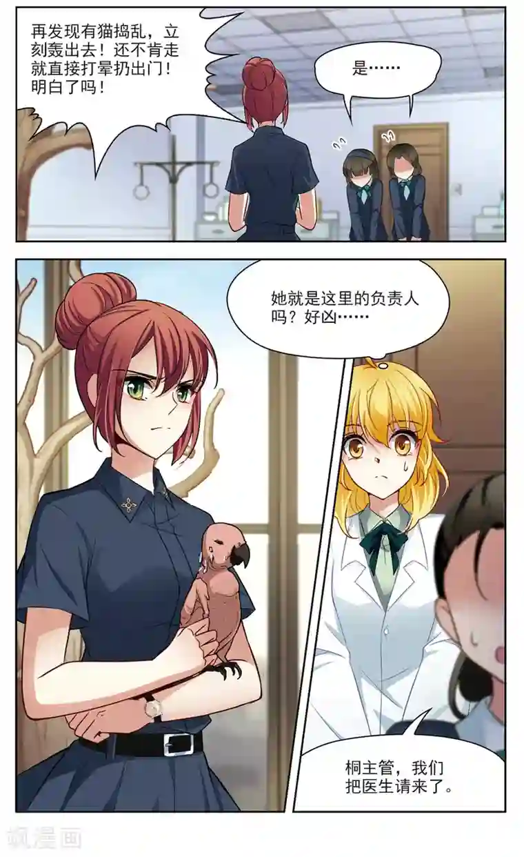 玄羽恋歌第24话 假冒兽医1