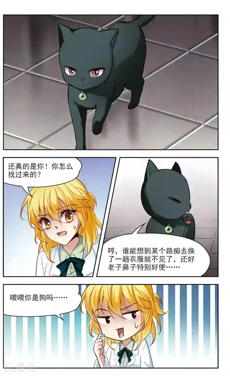 玄羽恋歌第24话 假冒兽医1