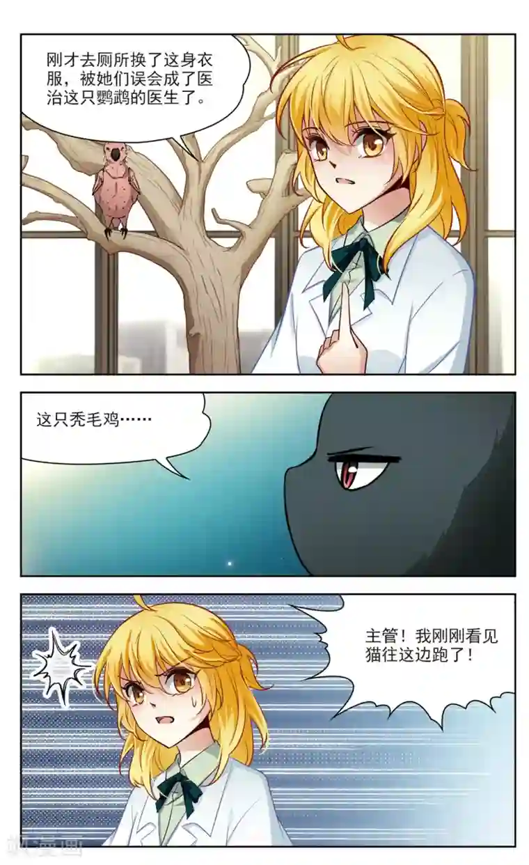 玄羽恋歌第24话 假冒兽医1