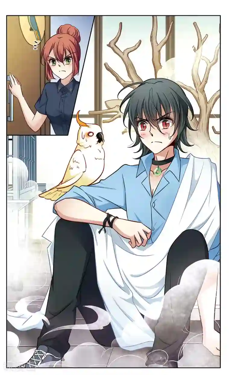 玄羽恋歌第25话 假冒兽医2