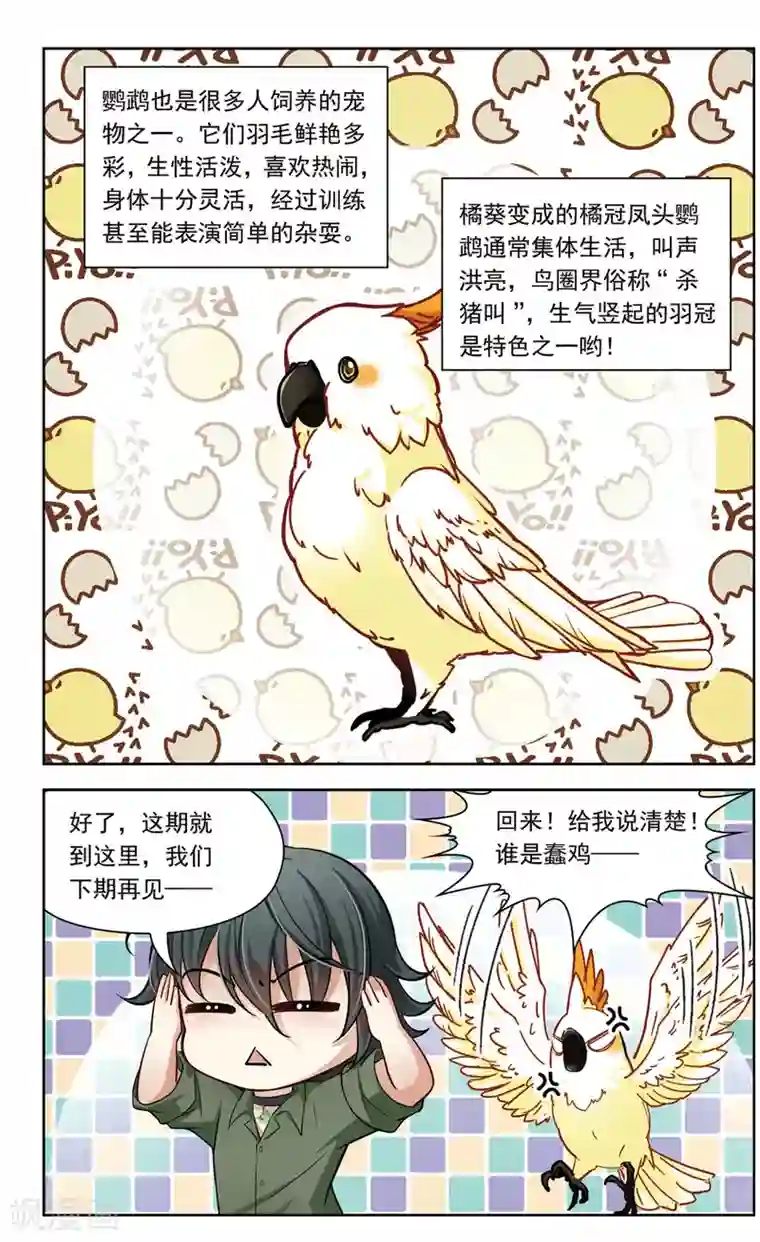 玄羽恋歌第26话 假冒兽医3