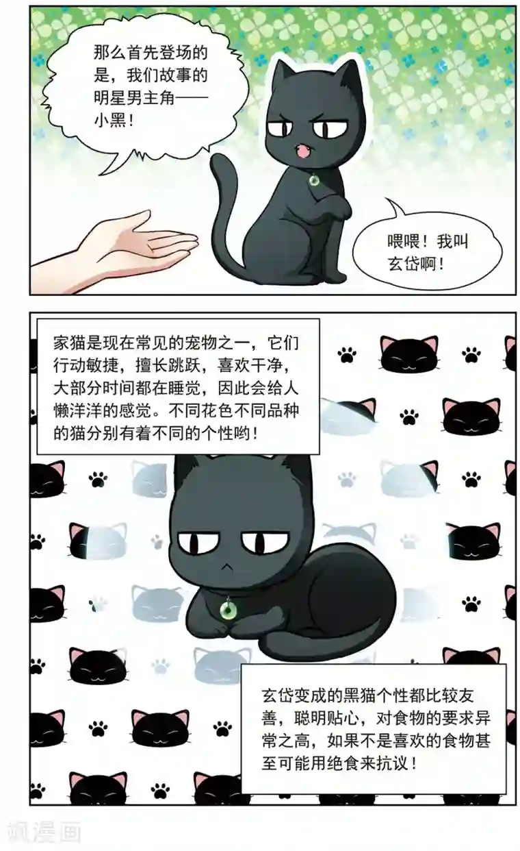 玄羽恋歌第26话 假冒兽医3