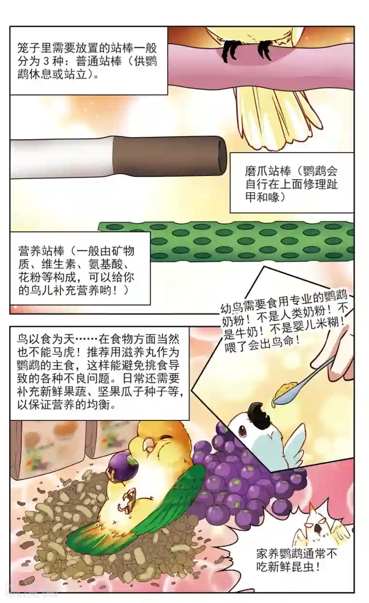 玄羽恋歌第32话 迷宫里的声音3