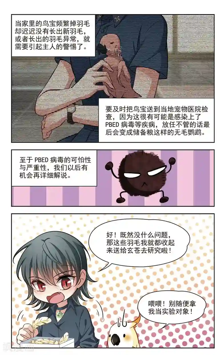 玄羽恋歌第38话 新的开始3