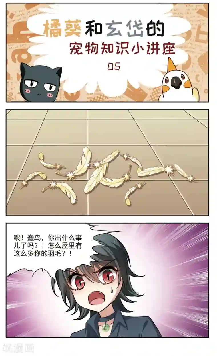 玄羽恋歌第38话 新的开始3