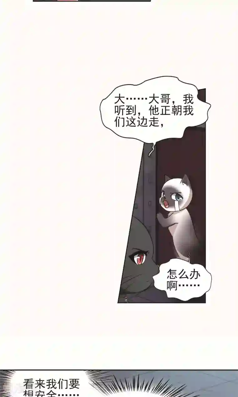玄羽恋歌第60话 最后想见的人1