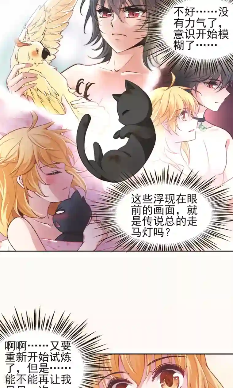 玄羽恋歌第61话 最后想见的人2