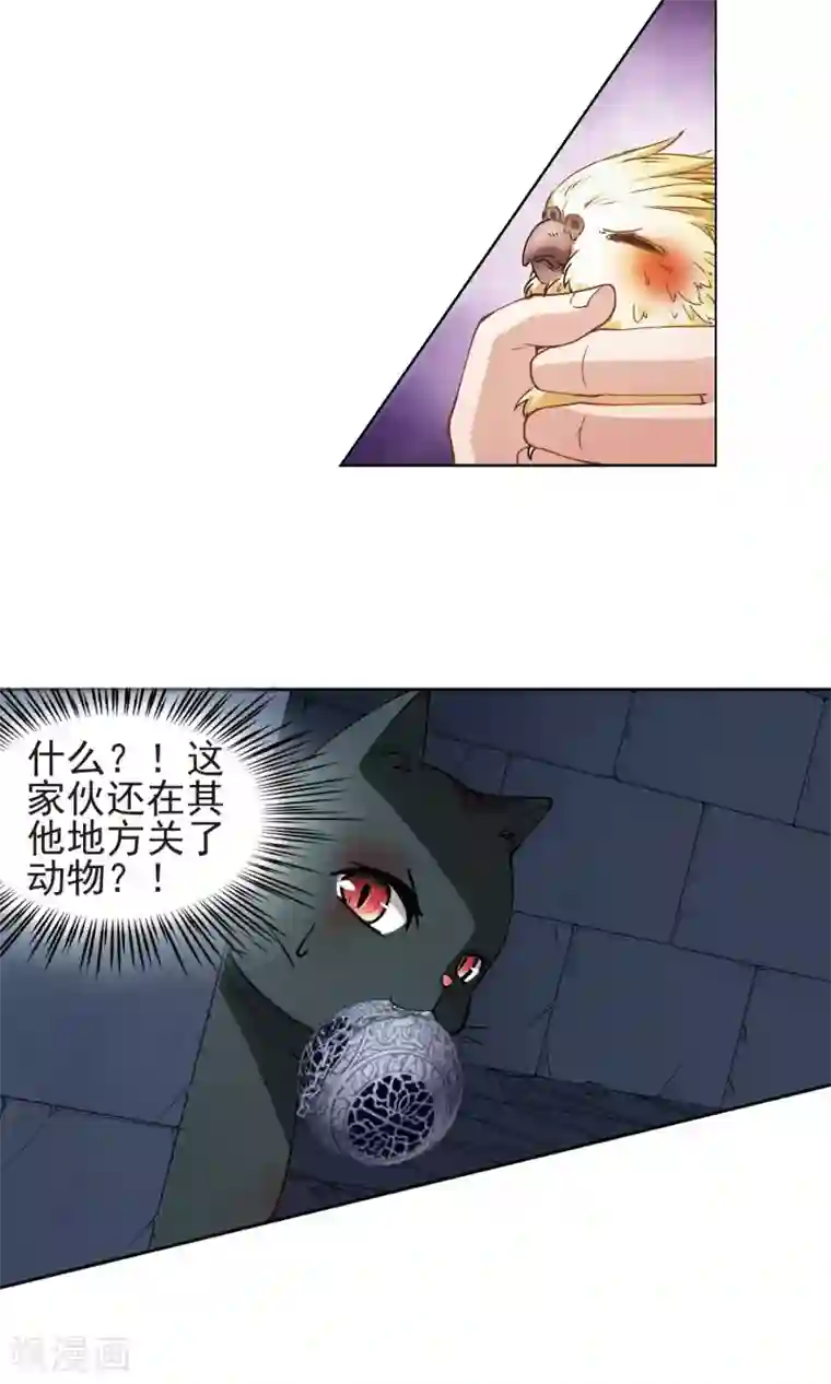 玄羽恋歌第61话 最后想见的人2