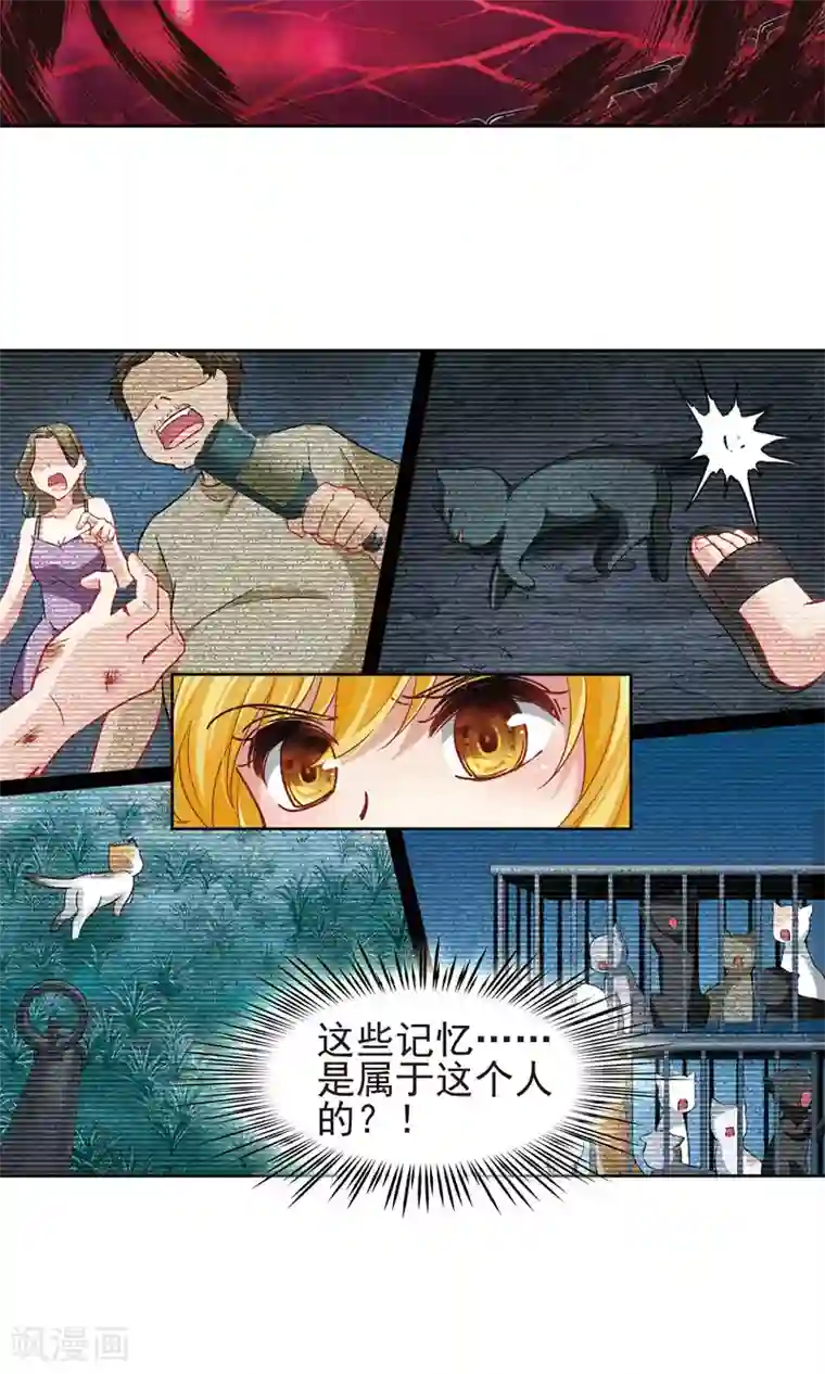 玄羽恋歌第62话 羽毛的力量1