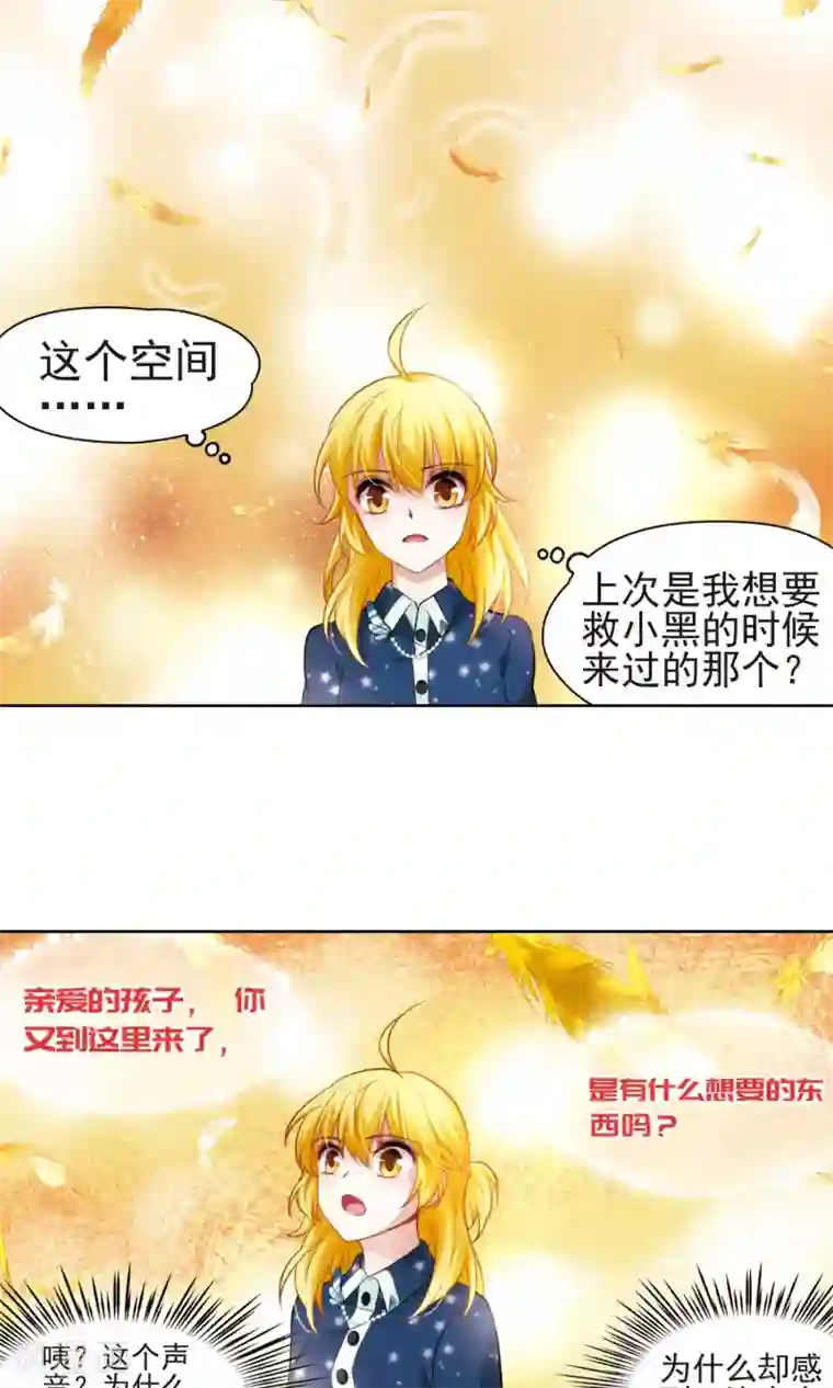 玄羽恋歌第63话 羽毛的力量2