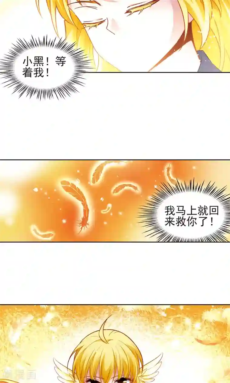 玄羽恋歌第63话 羽毛的力量2