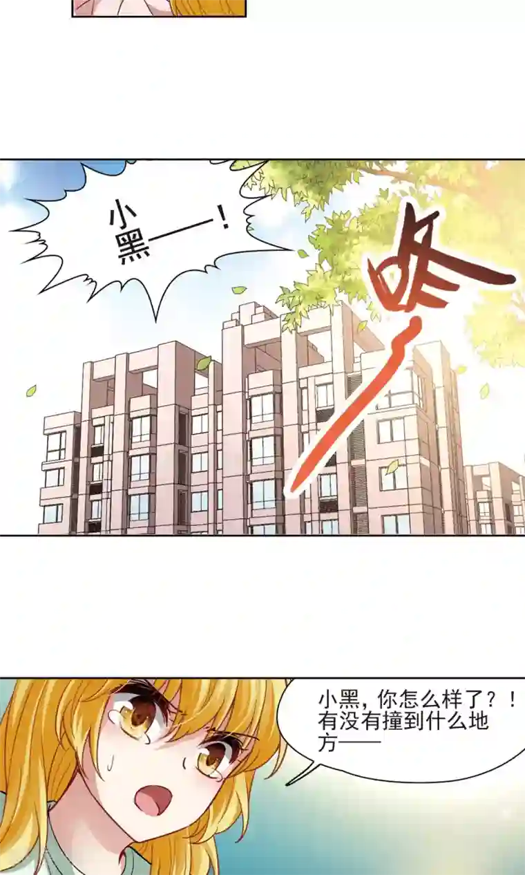 玄羽恋歌第64话 失踪的玄缃1