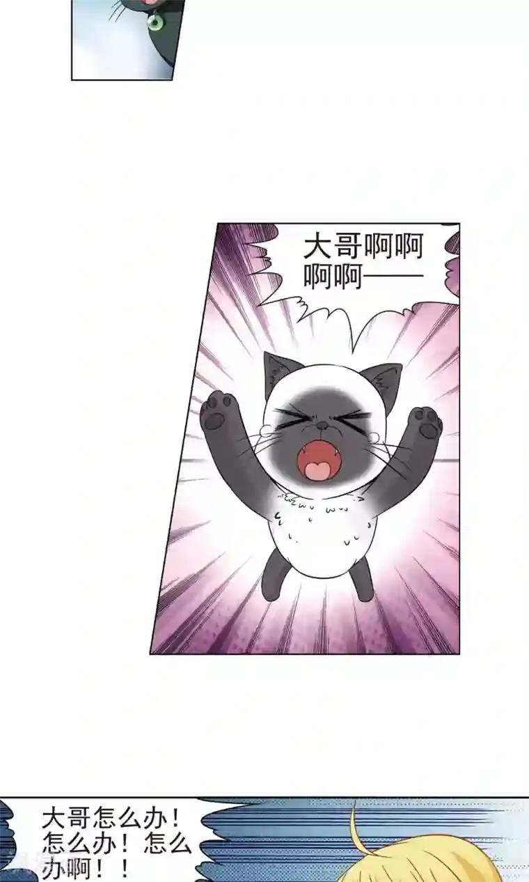 玄羽恋歌第64话 失踪的玄缃1