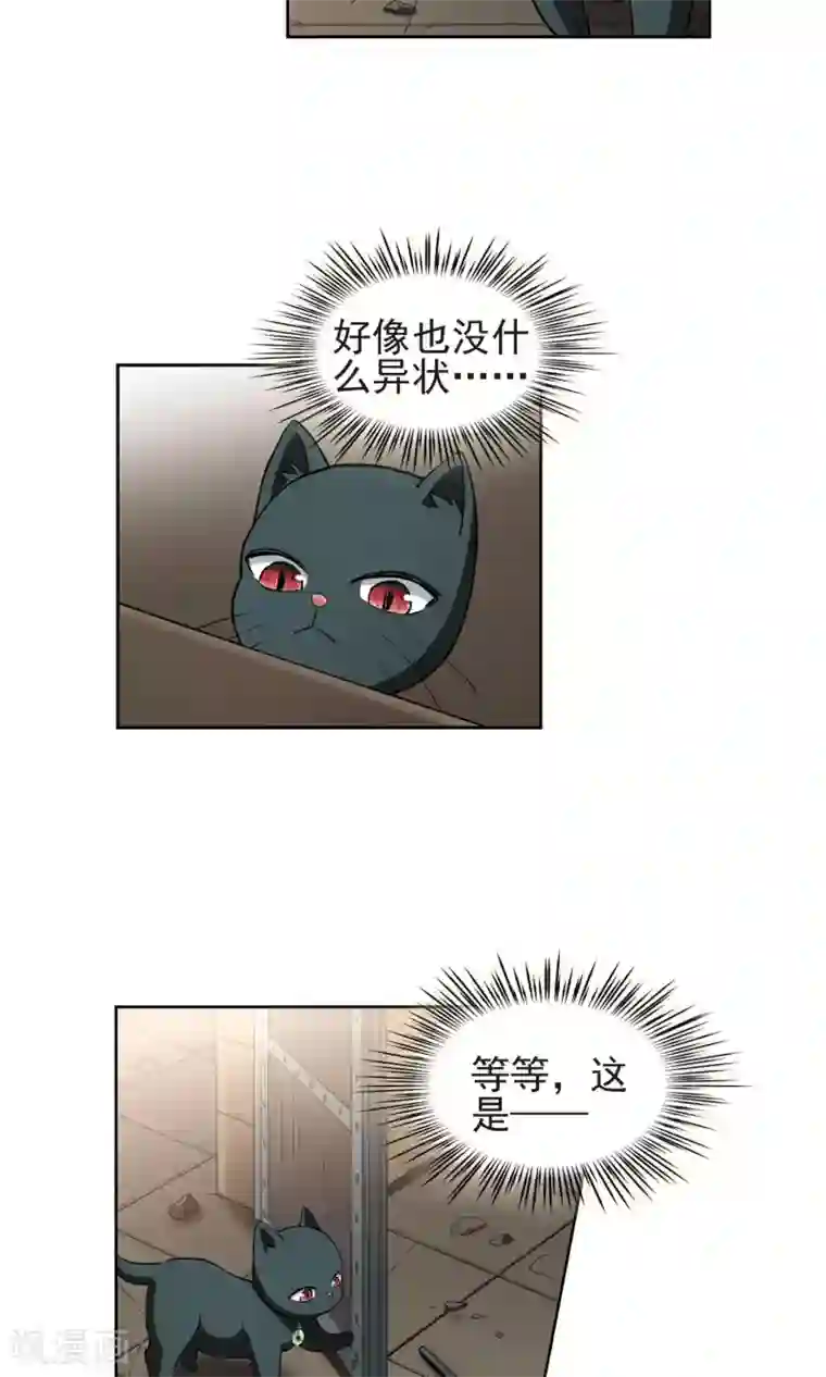 玄羽恋歌第65话 失踪的玄缃2