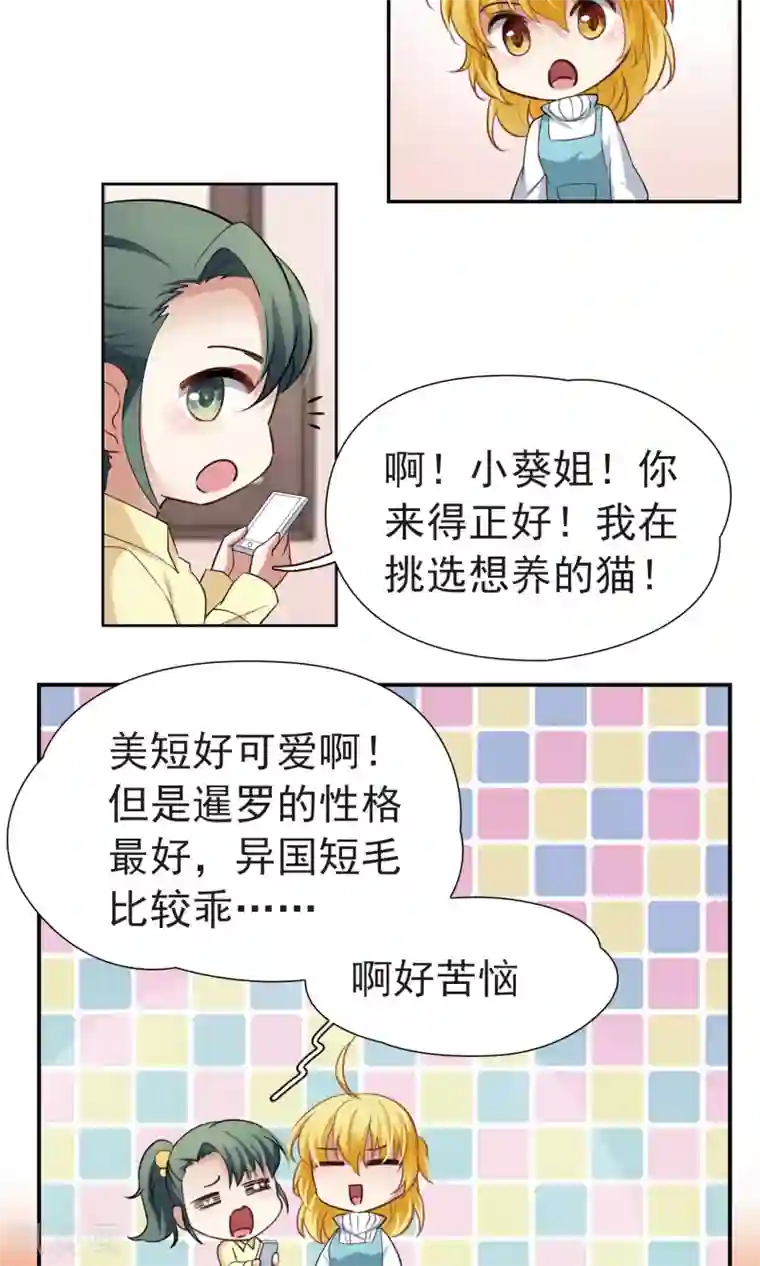 玄羽恋歌番外1 小百科