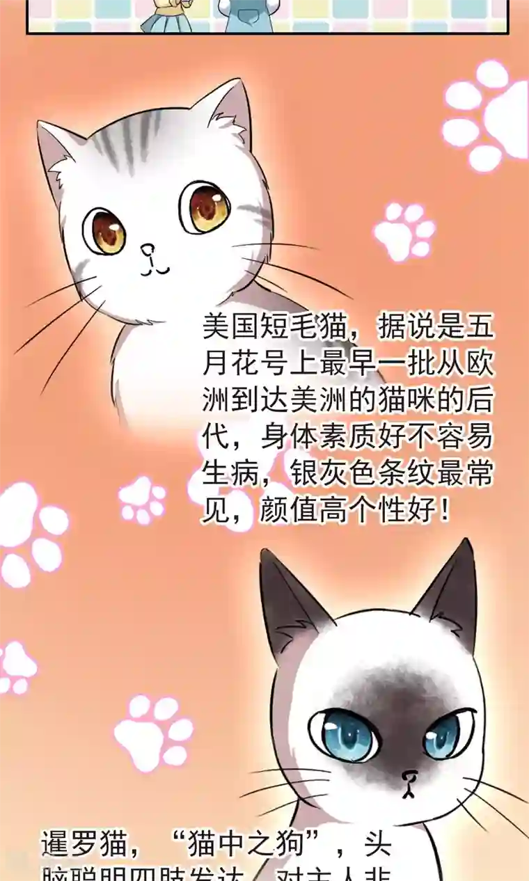 玄羽恋歌番外1 小百科