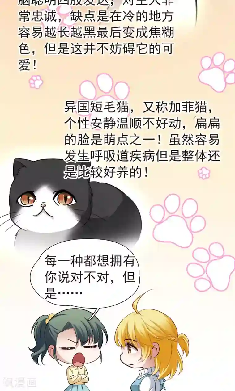 玄羽恋歌番外1 小百科