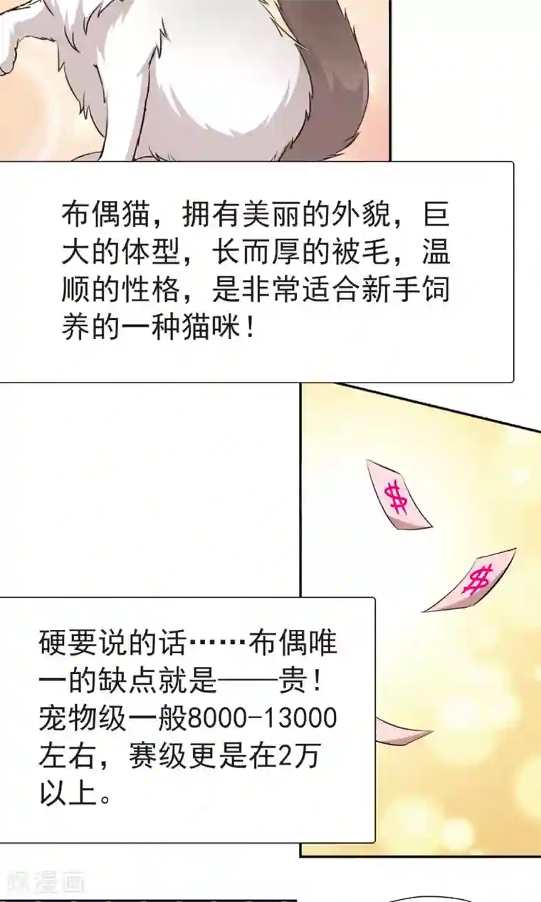 玄羽恋歌番外1 小百科