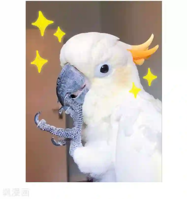 玄羽恋歌番外1 小百科