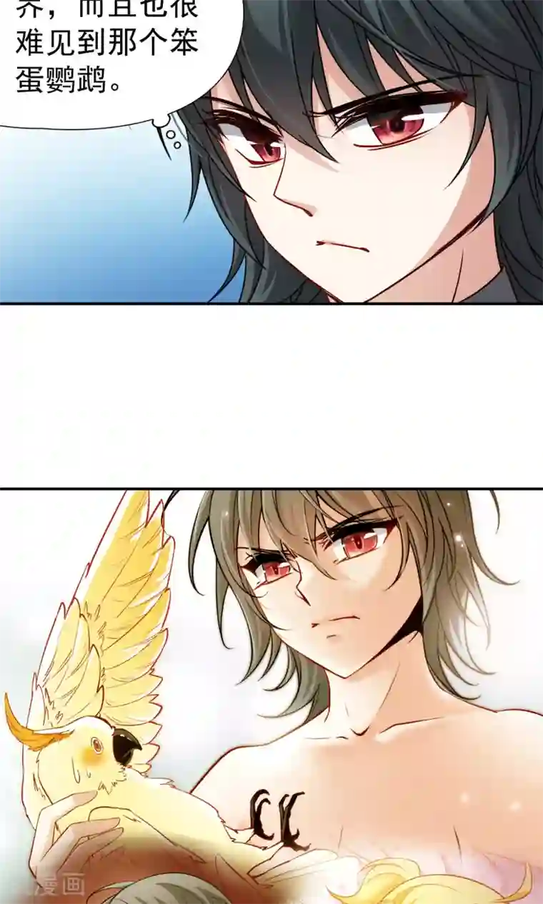 玄羽恋歌第70话 后山的发现1