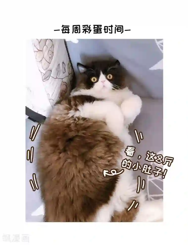 玄羽恋歌第82话 异界访客1