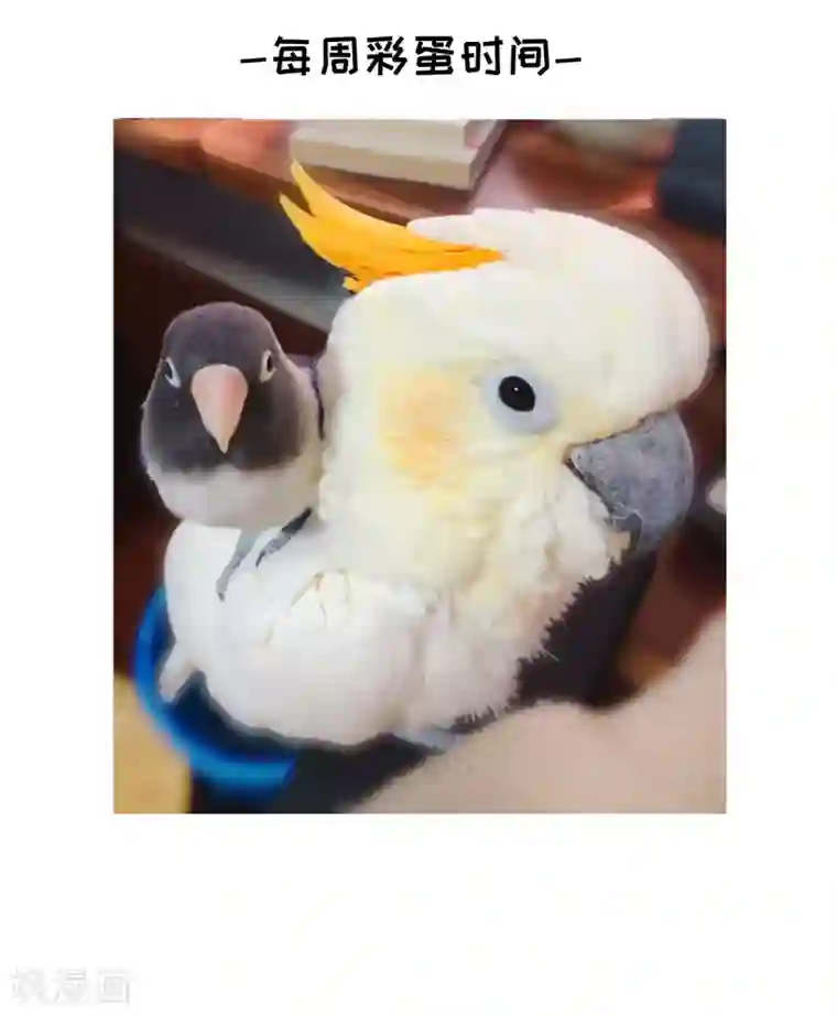 玄羽恋歌第86话 花前月下1