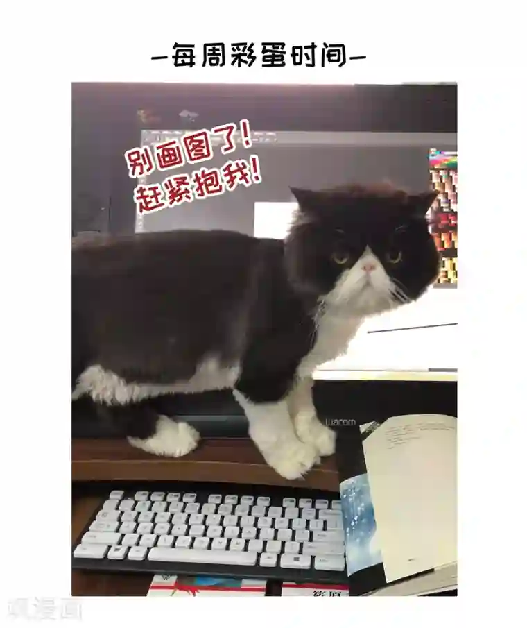 玄羽恋歌第90话 决断1