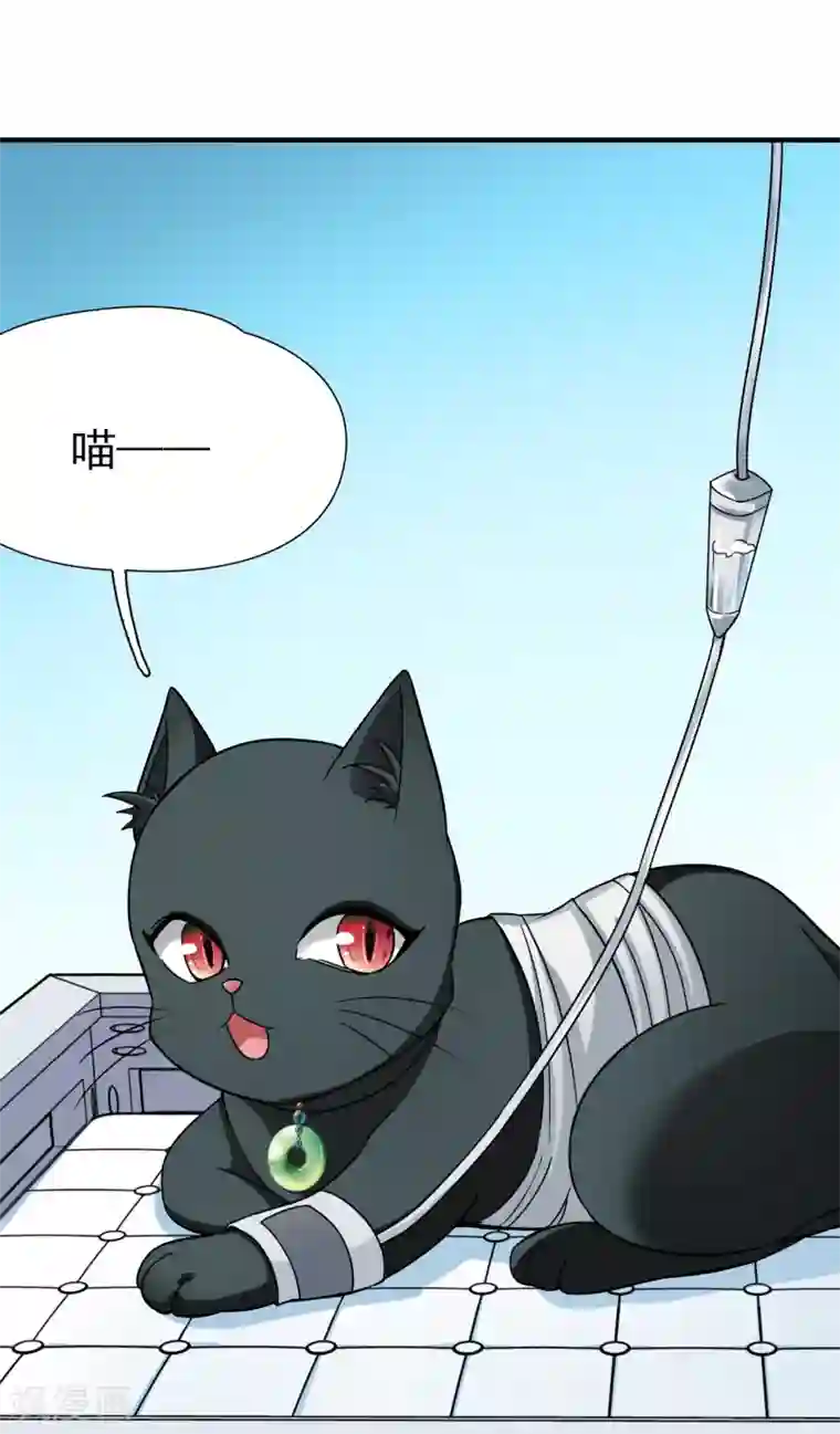 玄羽恋歌最终话 南柯一梦