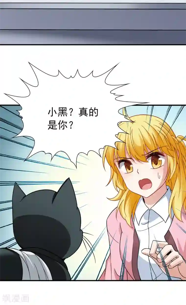 玄羽恋歌最终话 南柯一梦