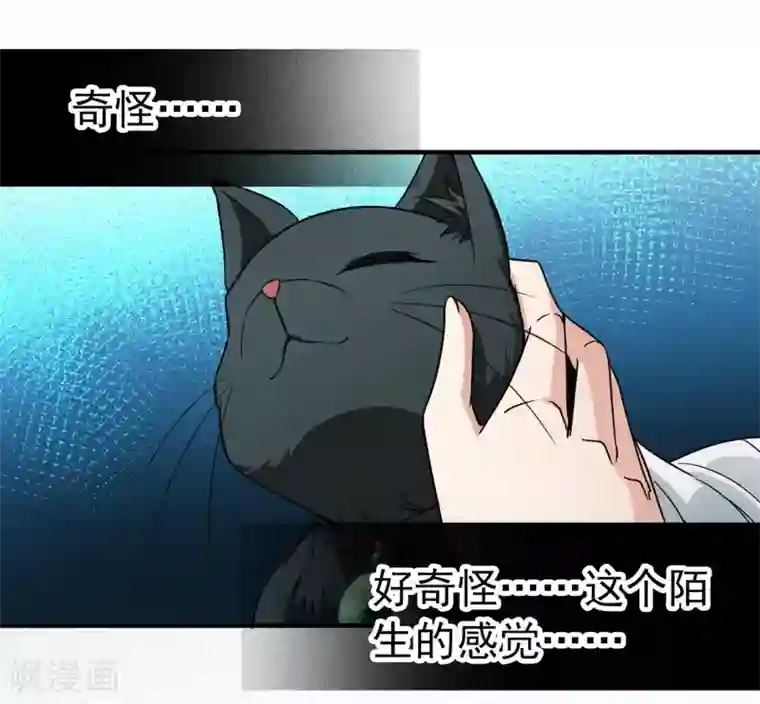 玄羽恋歌最终话 南柯一梦