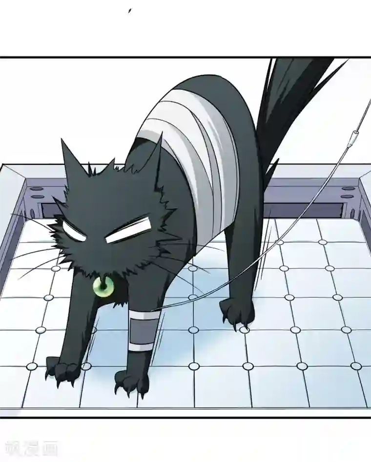 玄羽恋歌最终话 南柯一梦