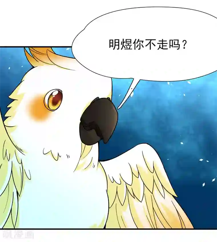 玄羽恋歌最终话 南柯一梦