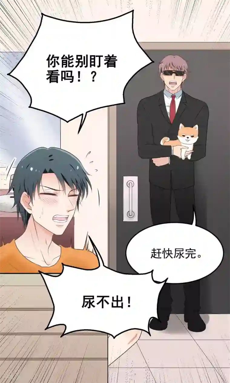 请别偷亲我第12话 如你所愿