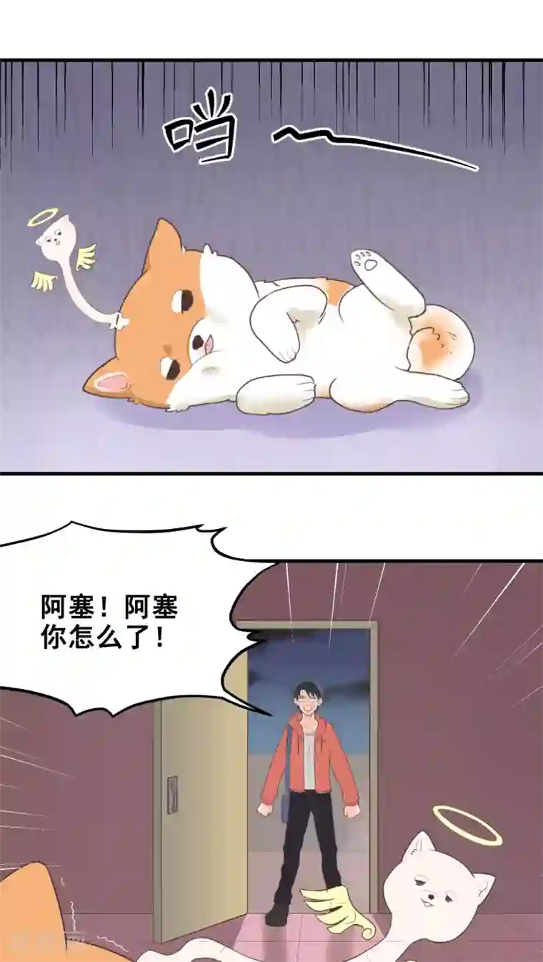 请别偷亲我第28话 生气了？