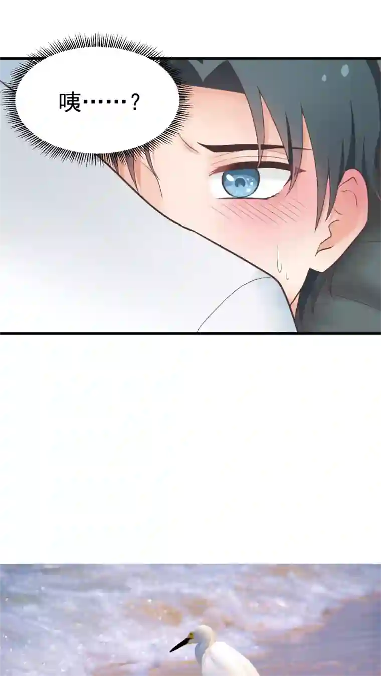 请别偷亲我第34话 我来当你的兔子