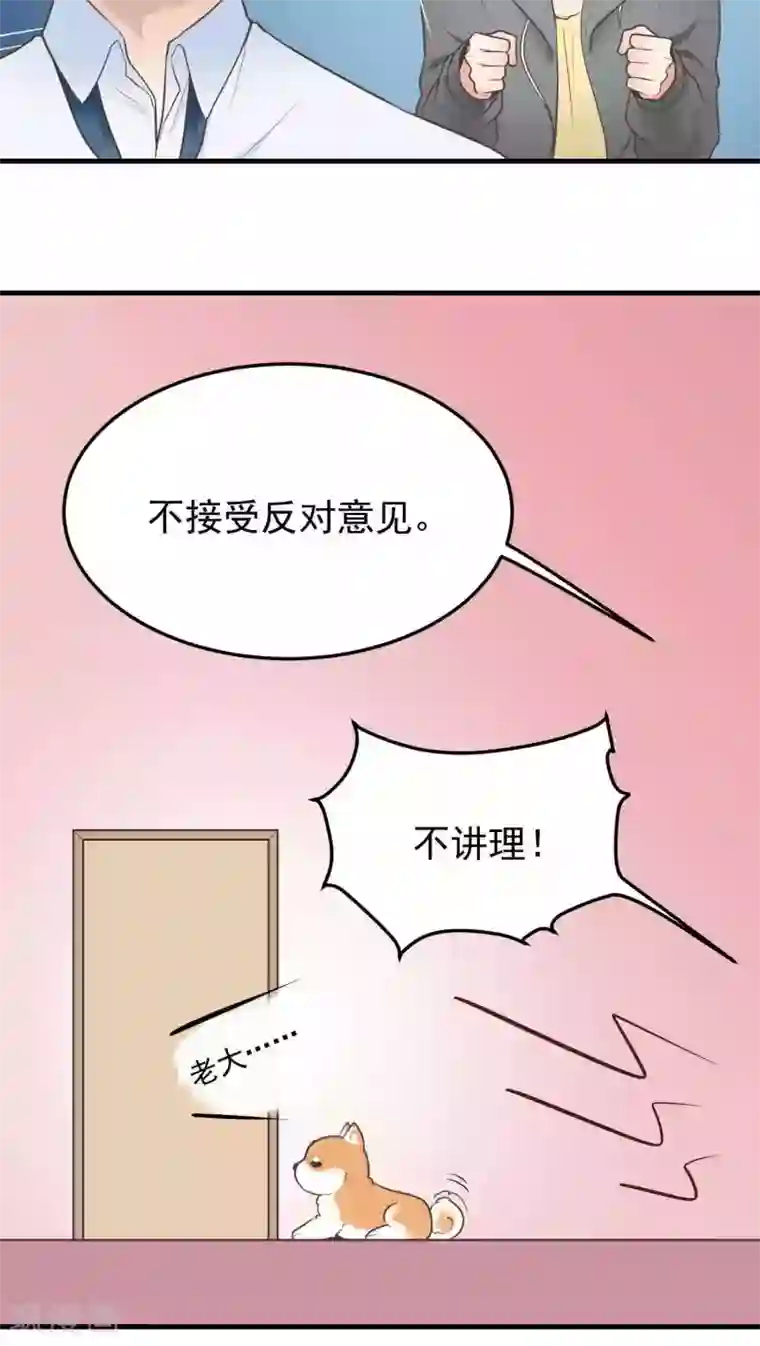 请别偷亲我第48话 再接再厉